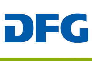 Dfg-logo Dfg-logo